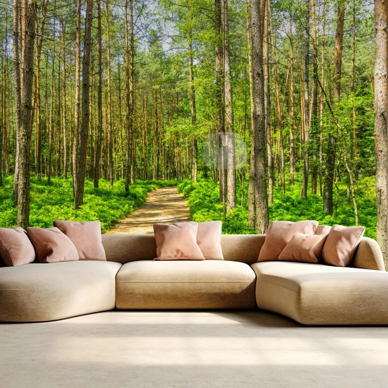 Fototapete sonniger waldweg zwischen kiefern – Wallnifity® Fototapete sonniger waldweg zwischen kiefern – Wallnifity®