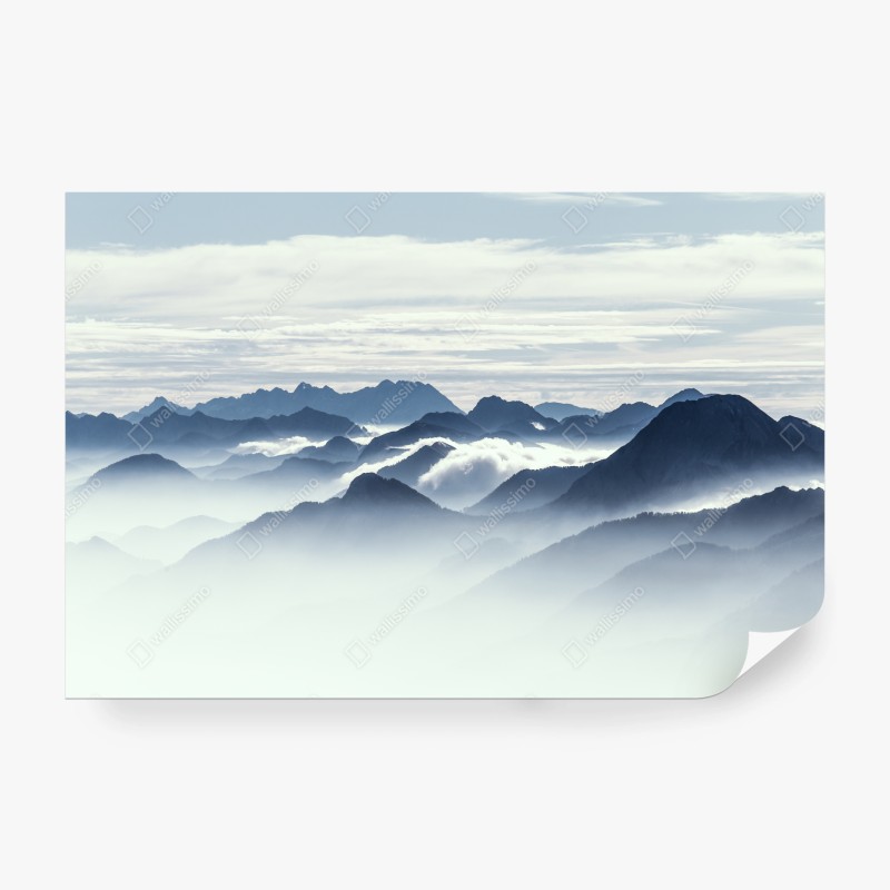 Fototapete nebliger waldpfad – Wallnifity®