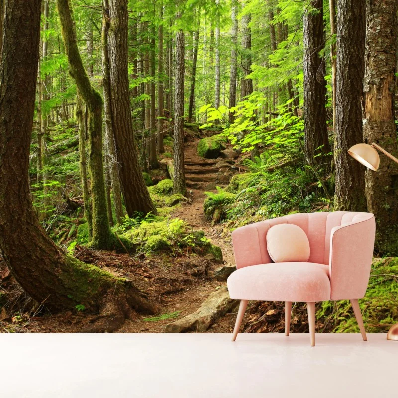 Fototapete moosiger waldpfad