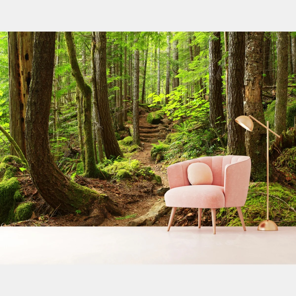 Fototapete moosiger waldpfad – Wallnifity®