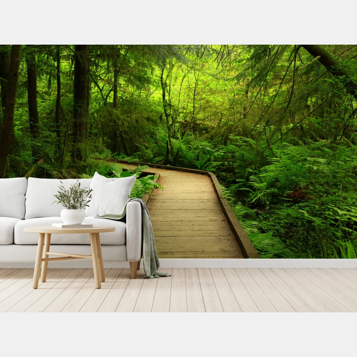 Fototapete ruhiger grüner waldsteg – Wallnifity® Fototapete ruhiger grüner waldsteg – Wallnifity®