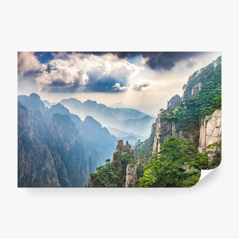 Fototapete handgezeichnetes botanisches gemüsemotiv – Wallnifity®