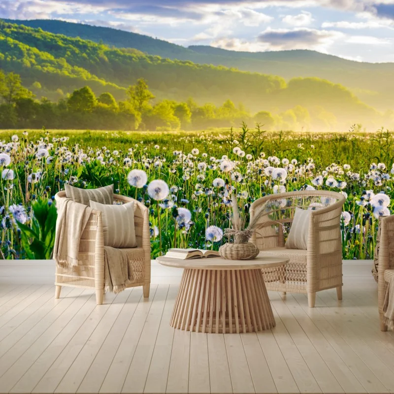 Fototapete neblige löwenzahnwiese im sonnenaufgang – Wallnifity® Fototapete neblige löwenzahnwiese im sonnenaufgang – Wallnifity®