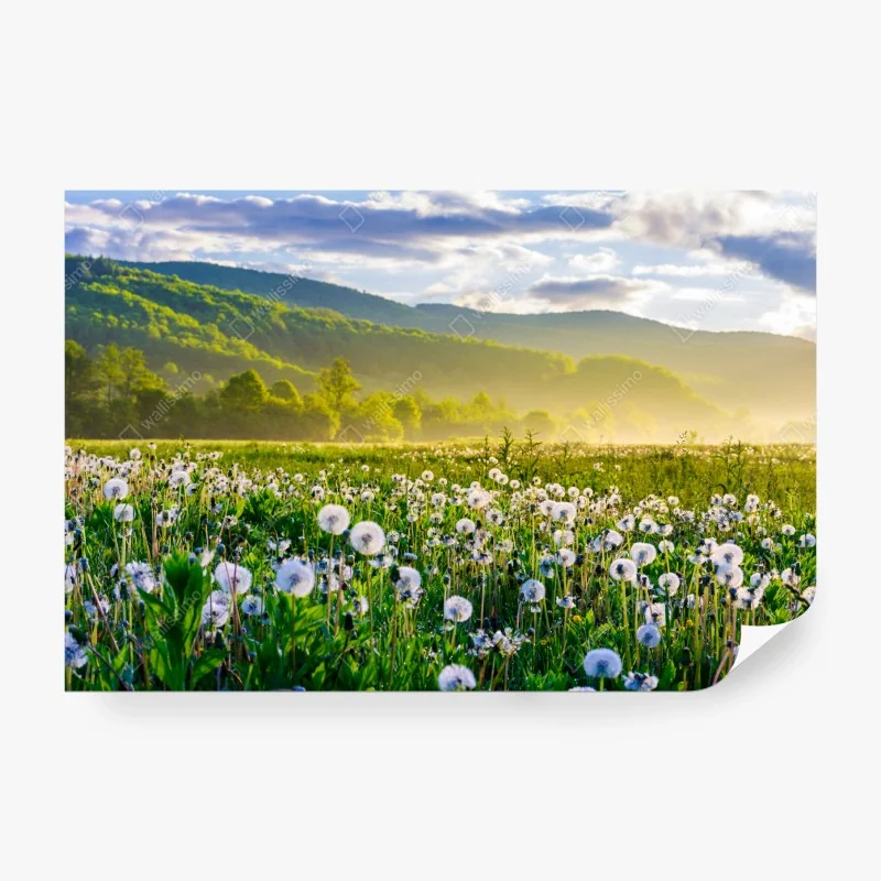 Fototapete tropischer sonnenuntergang mit palmensilhouette – Wallnifity®