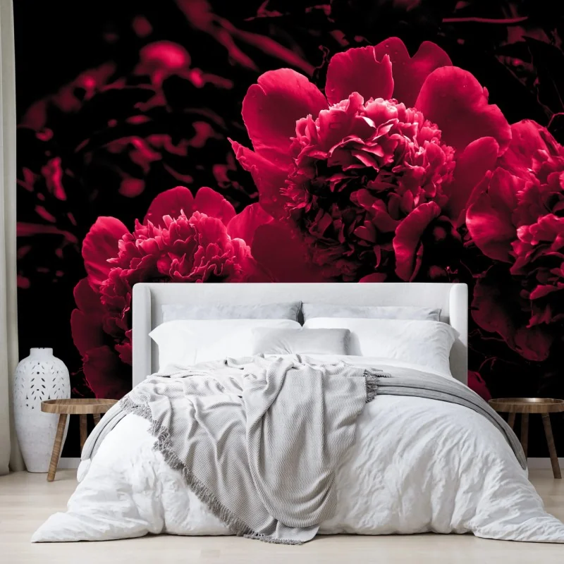 Fototapete stimmungsvolle rosa pfingstrosen