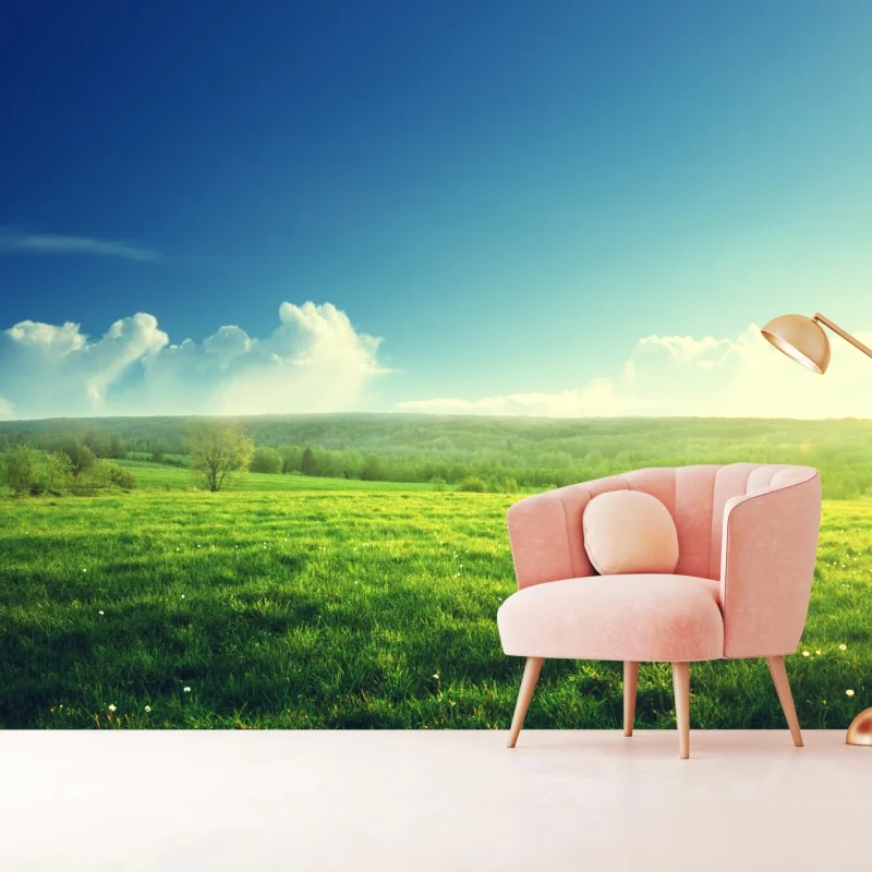 Fototapete sonnige frühlingswiese im abendlicht