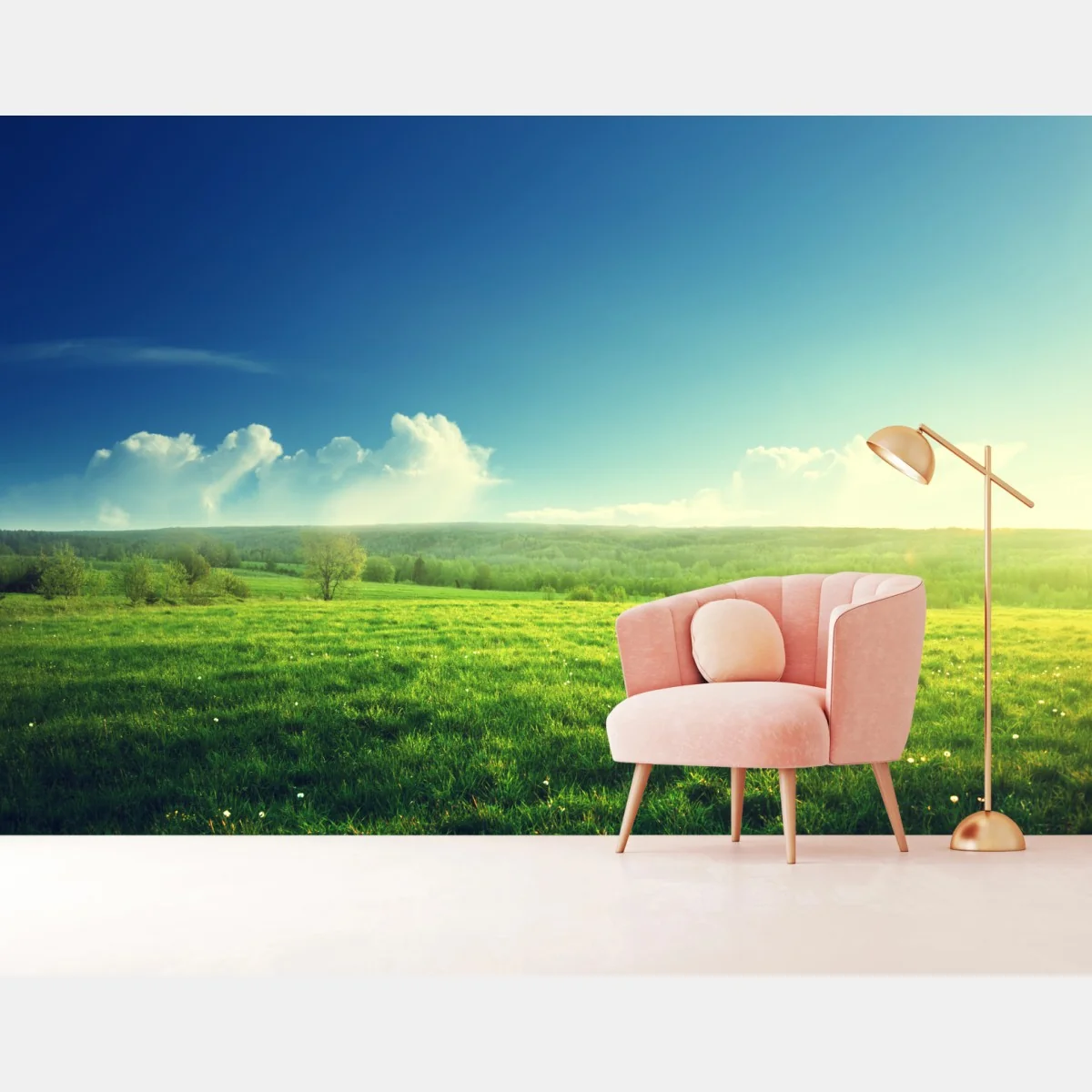 Fototapete sonnige frühlingswiese im abendlicht – Wallnifity®