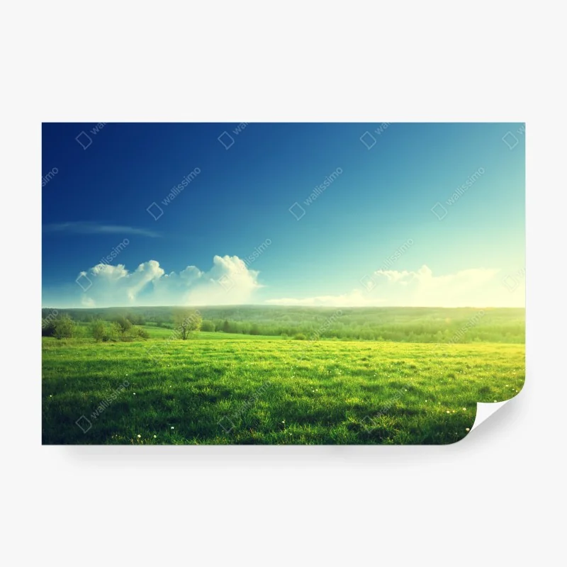 Fototapete cooking time retro küchendekor – Wallnifity®