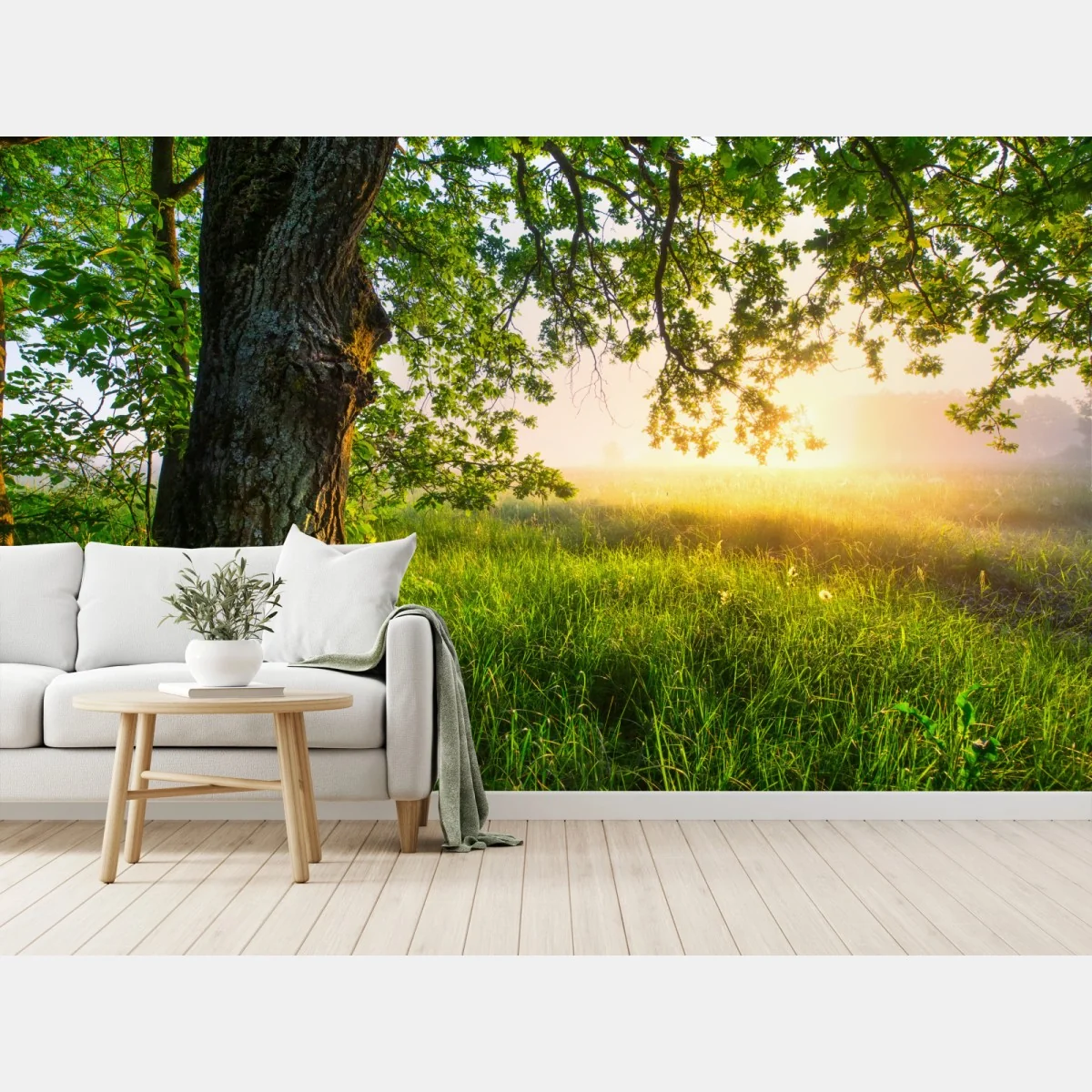 Fototapete morgendliche eiche auf sonnenbeschienener wiese – Wallnifity®