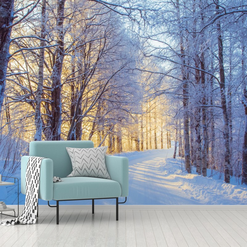 Fototapete birkenwald im winter bei sonnenaufgang