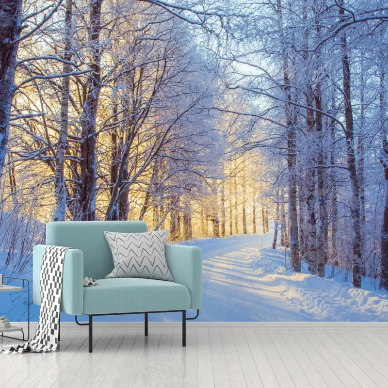 Fototapete birkenwald im winter bei sonnenaufgang – Wallnifity® Fototapete birkenwald im winter bei sonnenaufgang – Wallnifity®