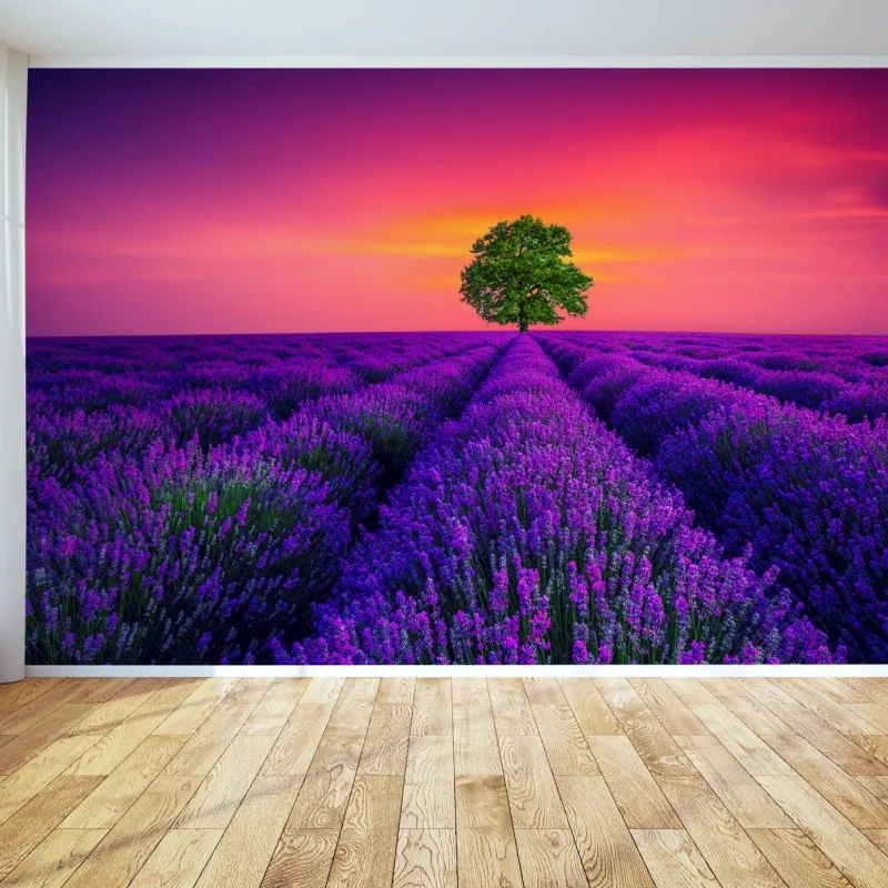 Fototapete lavendelfeld bei sonnenuntergang mit einsamem baum – Wallnifity® Fototapete lavendelfeld bei sonnenuntergang mit einsamem baum – Wallnifity®