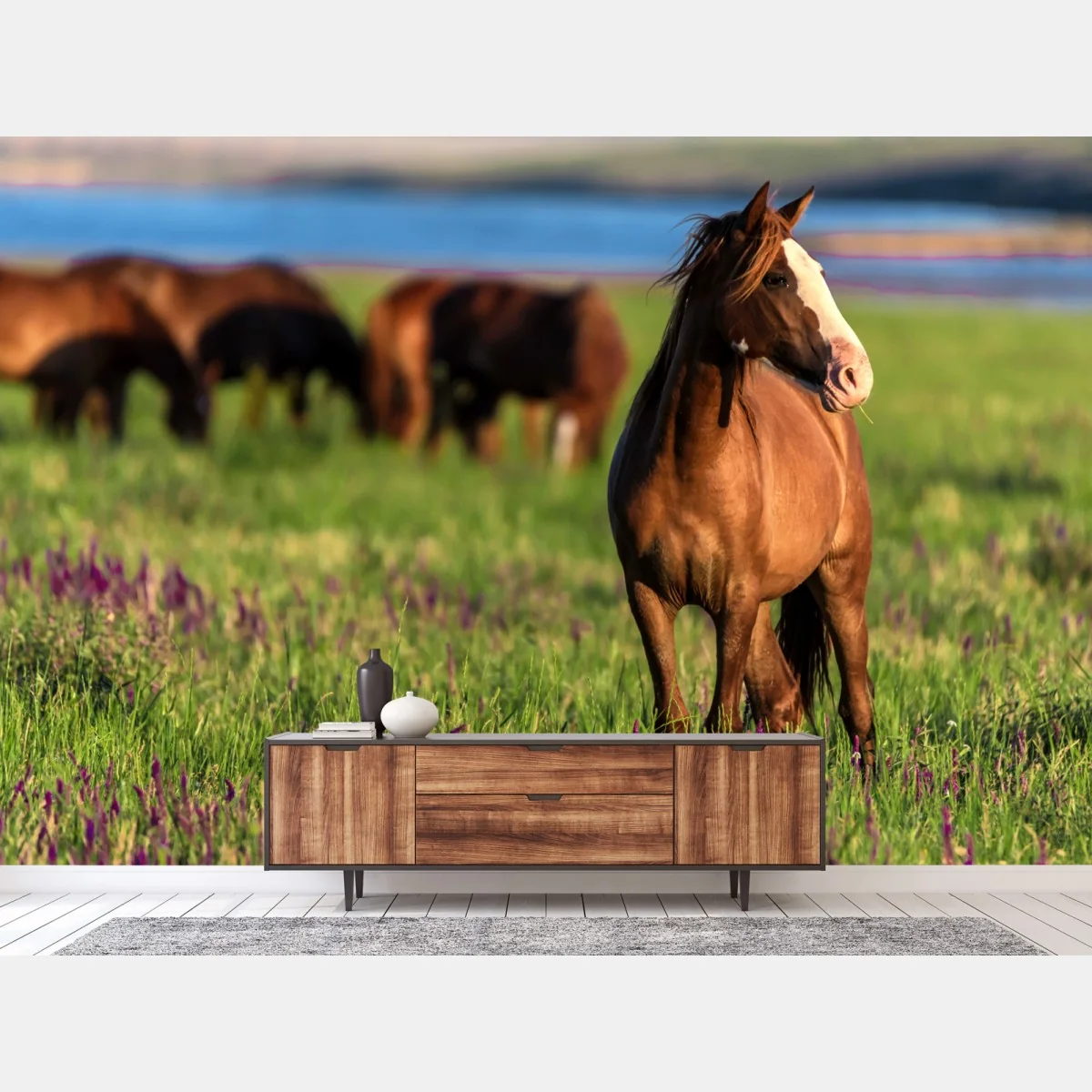 Fototapete majestätisches braunes pferd auf einer sonnenbeschienenen wiese – Wallnifity® Fototapete majestätisches braunes pferd auf einer sonnenbeschienenen wiese – Wallnifity®