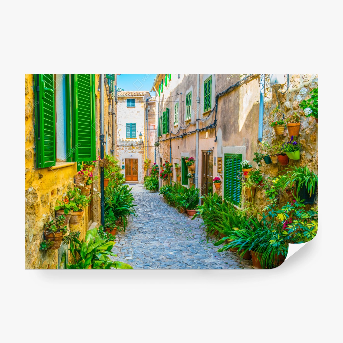 Fototapete sonnige gasse mit grünen fensterläden – Wallnifity® Fototapete sonnige gasse mit grünen fensterläden – Wallnifity®