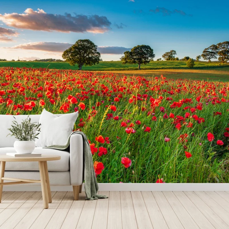 Fototapete rotes mohnfeld bei Corbridge