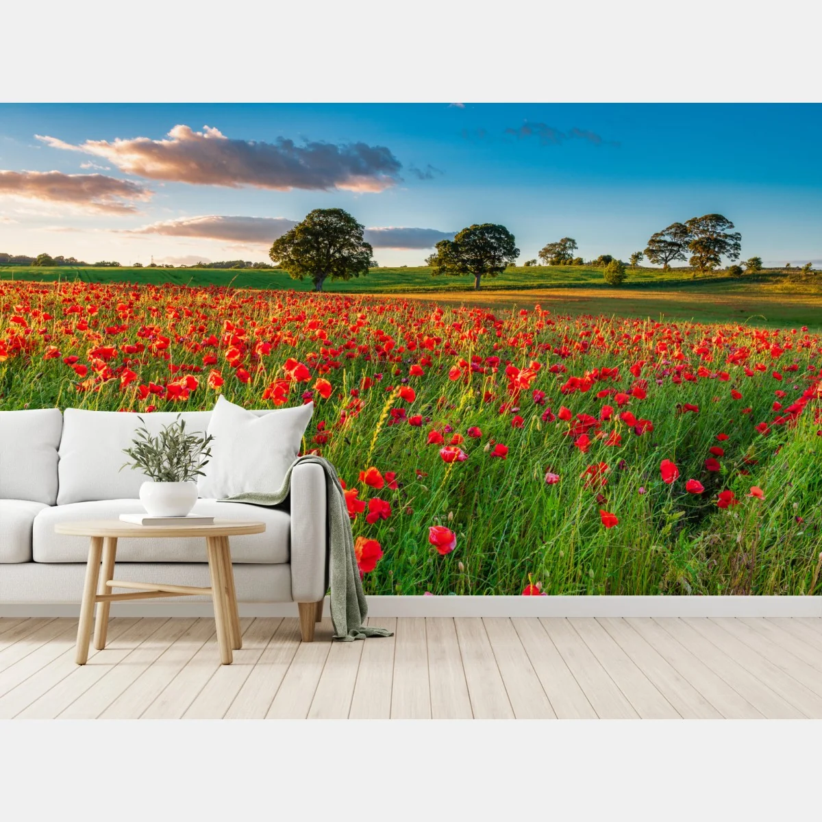 Fototapete rotes mohnfeld bei Corbridge – Wallnifity® Fototapete rotes mohnfeld bei Corbridge – Wallnifity®