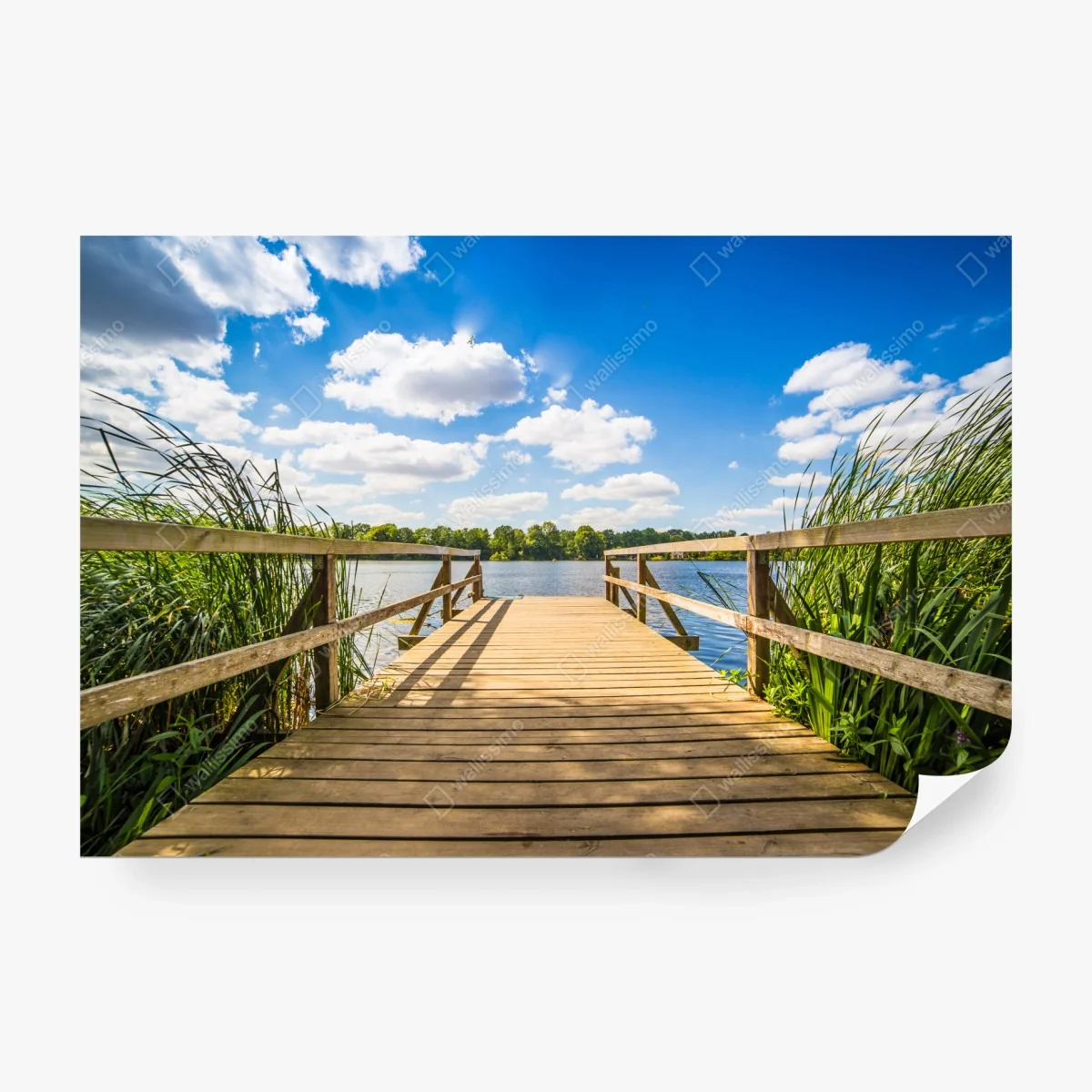 Fototapete sonniger steg am see – Wallnifity® Fototapete sonniger steg am see – Wallnifity®