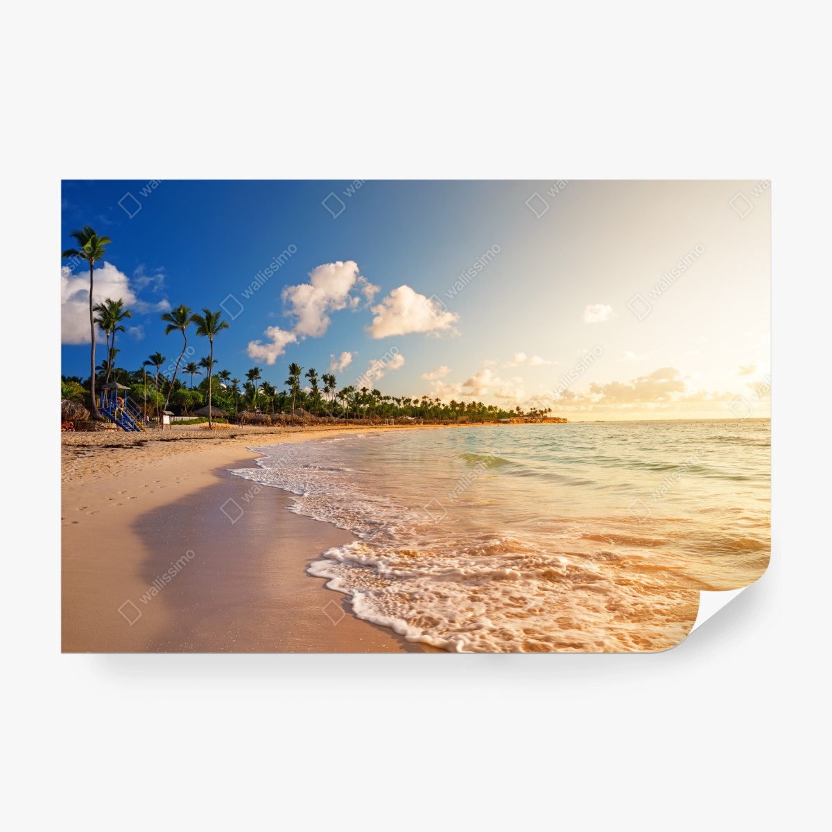 Fototapete tropischer sonnenuntergang am strand mit palmensilhouetten – Wallnifity®