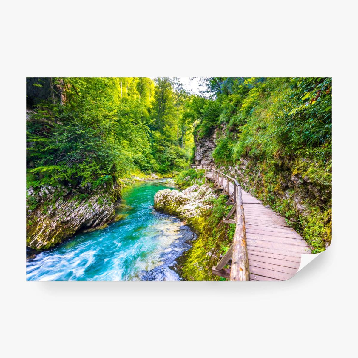 Fototapete türkisfarbener fluss und holzsteg im wald – Wallnifity® Fototapete türkisfarbener fluss und holzsteg im wald – Wallnifity®