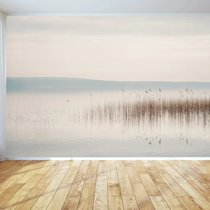 Fototapete ruhige schilfzone am see – Wallnifity® Fototapete ruhige schilfzone am see – Wallnifity®