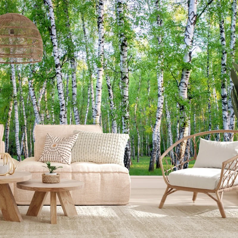 Fototapete ruhiger birkenhain im sommer – Wallnifity® Fototapete ruhiger birkenhain im sommer – Wallnifity®