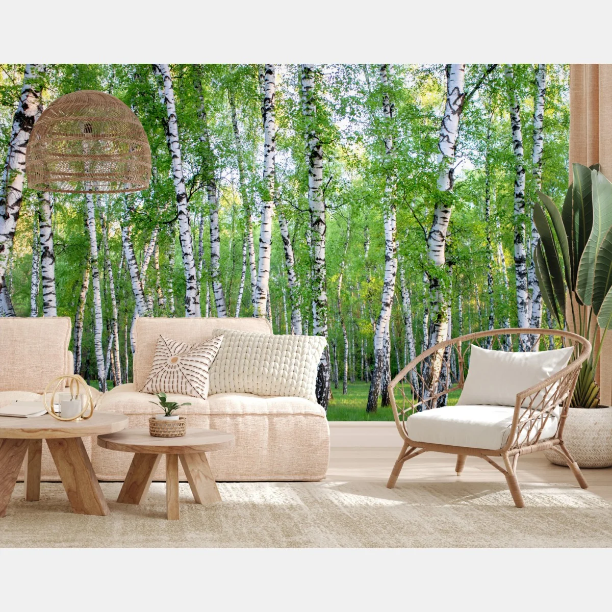 Fototapete ruhiger birkenhain im sommer – Wallnifity® Fototapete ruhiger birkenhain im sommer – Wallnifity®