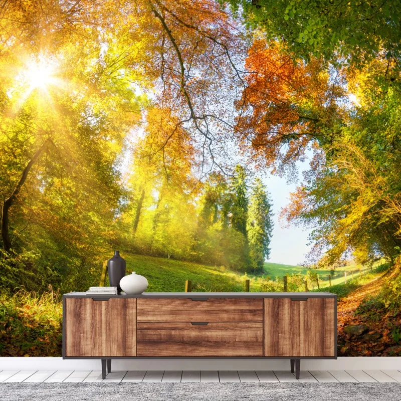 Fototapete goldener herbstwaldweg – Wallnifity® Fototapete goldener herbstwaldweg – Wallnifity®