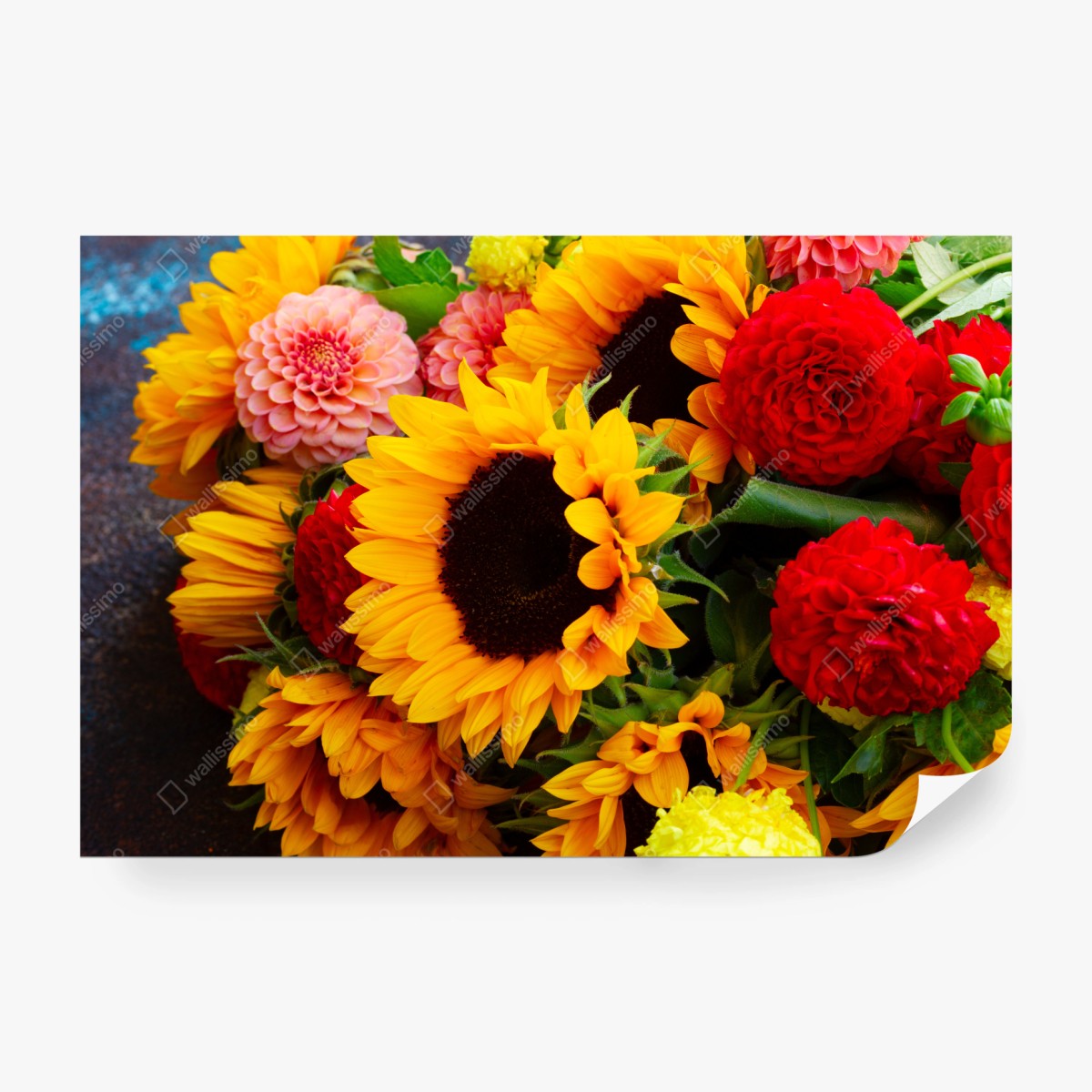 Fototapete nahaufnahme sonnenblumen- und dahlienstrauß – Wallnifity® Fototapete nahaufnahme sonnenblumen- und dahlienstrauß – Wallnifity®