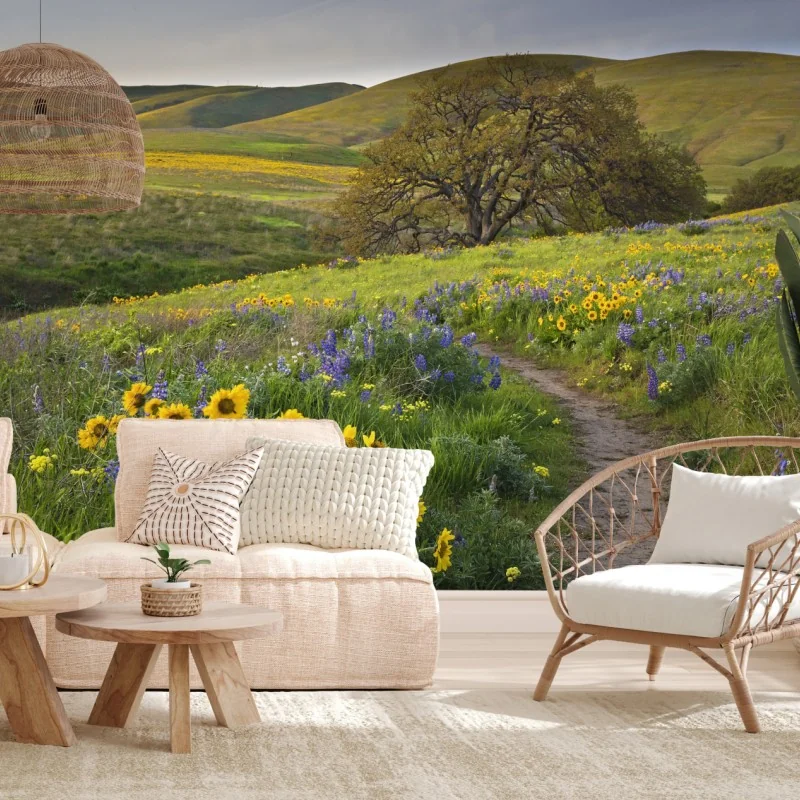 Fototapete pfad durch blumenwiese mit eichenbaum