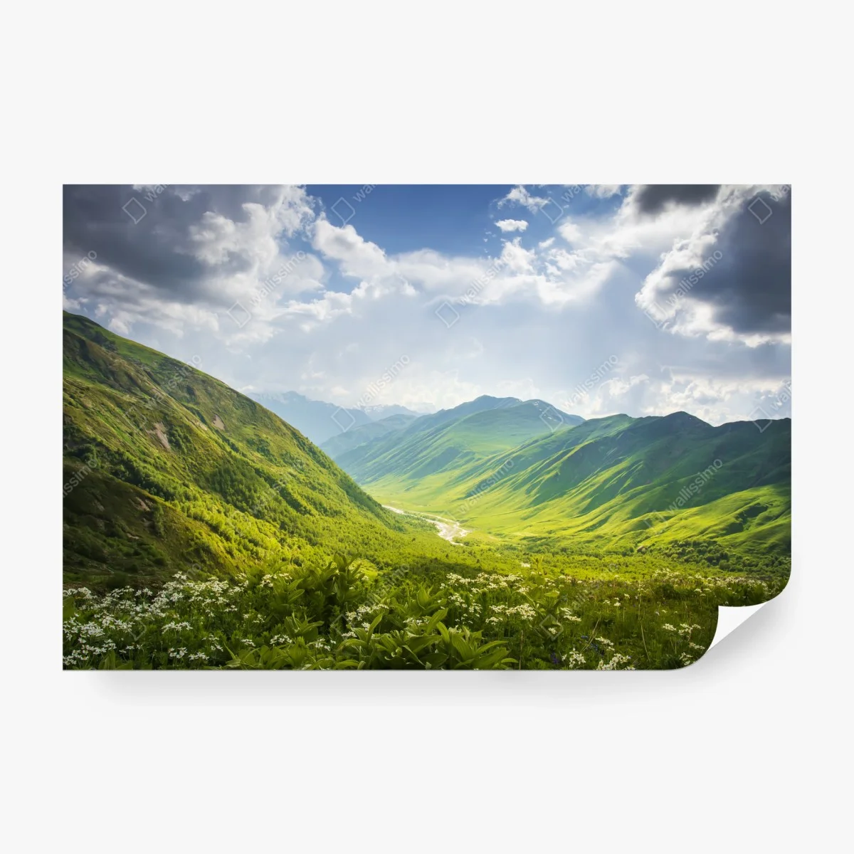 Fototapete üppiges grünes tal – Wallnifity®