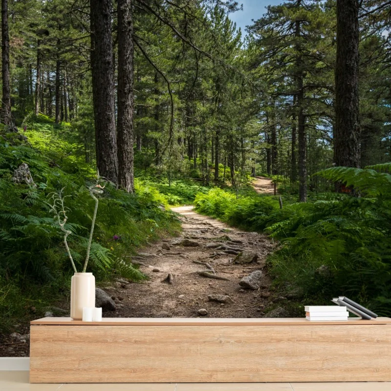 Fototapete ruhiger waldpfad durch üppiges grün – Wallnifity® Fototapete ruhiger waldpfad durch üppiges grün – Wallnifity®