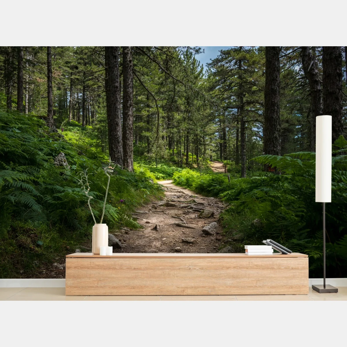 Fototapete ruhiger waldpfad durch üppiges grün – Wallnifity® Fototapete ruhiger waldpfad durch üppiges grün – Wallnifity®