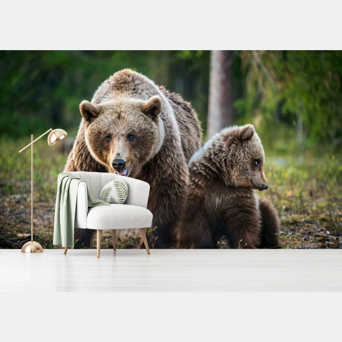 Fototapete braunbär mit jungem im wald – Wallnifity® Fototapete braunbär mit jungem im wald – Wallnifity®