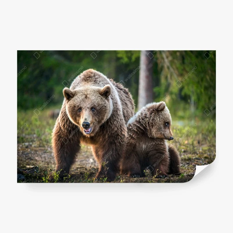 Fototapete pastell dschungel tier muster – Wallnifity®