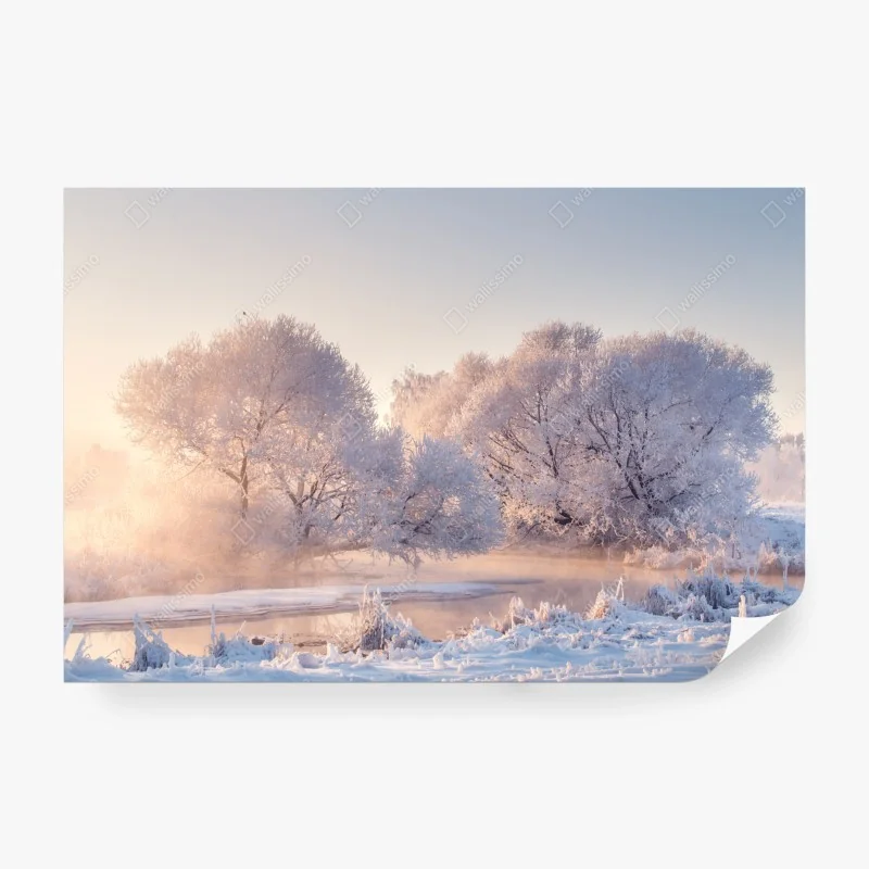 Fototapete raureifbedeckte bäume bei sonnenaufgang