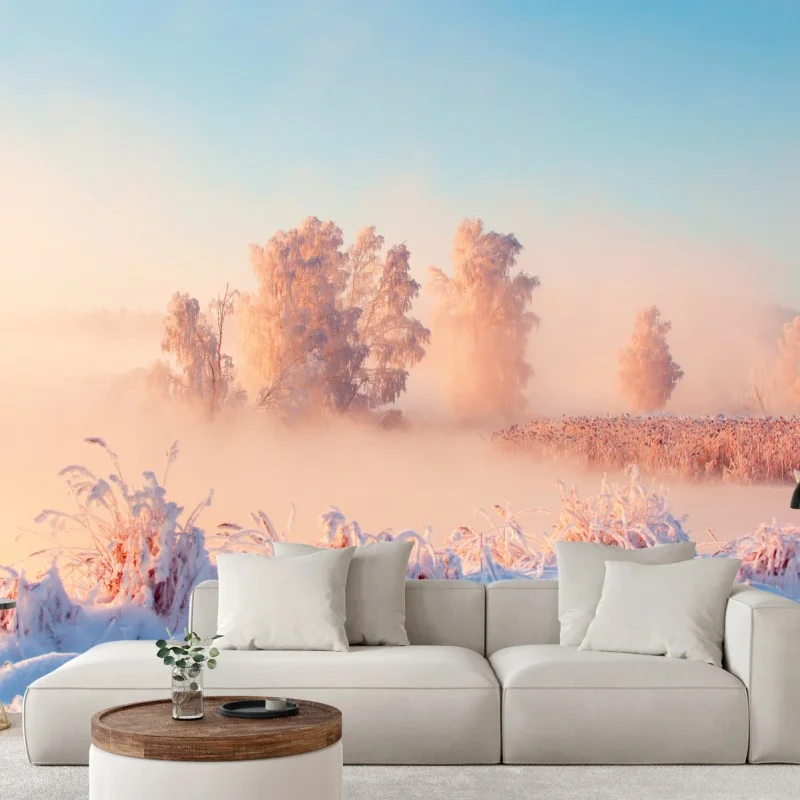 Fototapete winterlicher sonnenaufgang über einer frostigen wiese