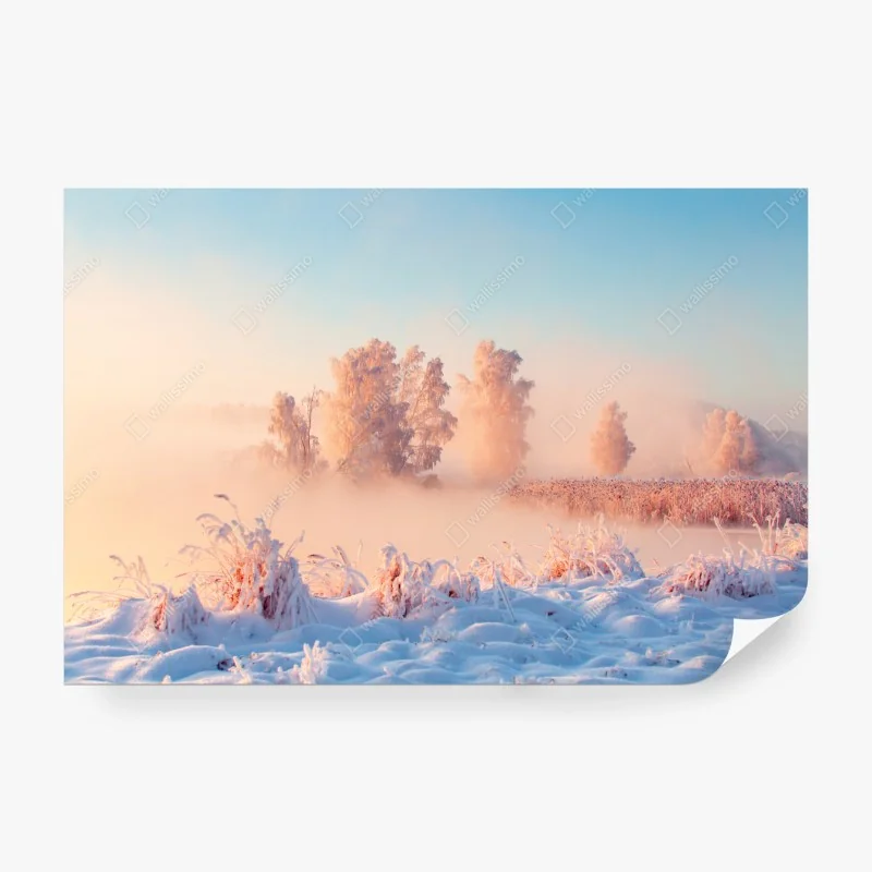 Fototapete winterlicher sonnenaufgang über einer frostigen wiese