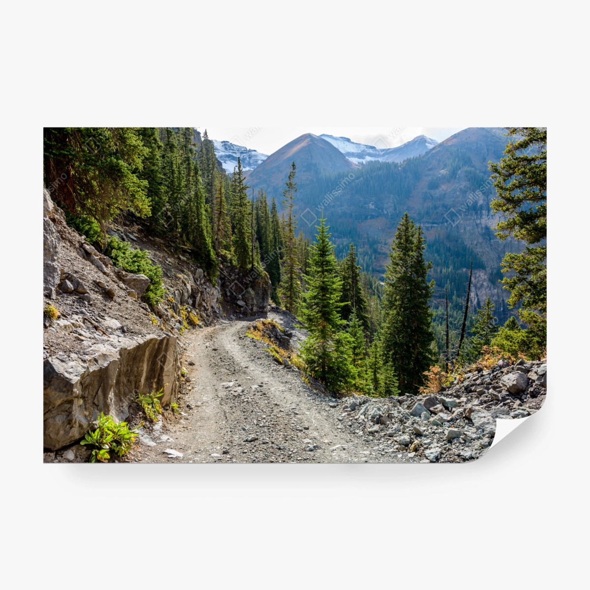 Fototapete bergpfad durch alpinen wald – Wallnifity® Fototapete bergpfad durch alpinen wald – Wallnifity®