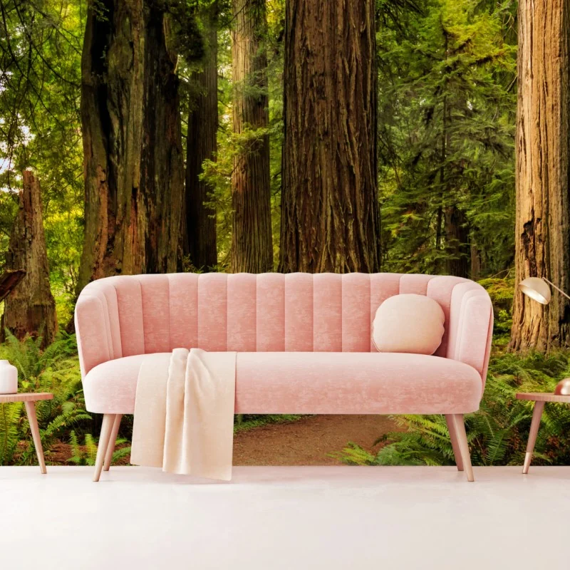 Fototapete Kalifornien mammutbäume waldweg