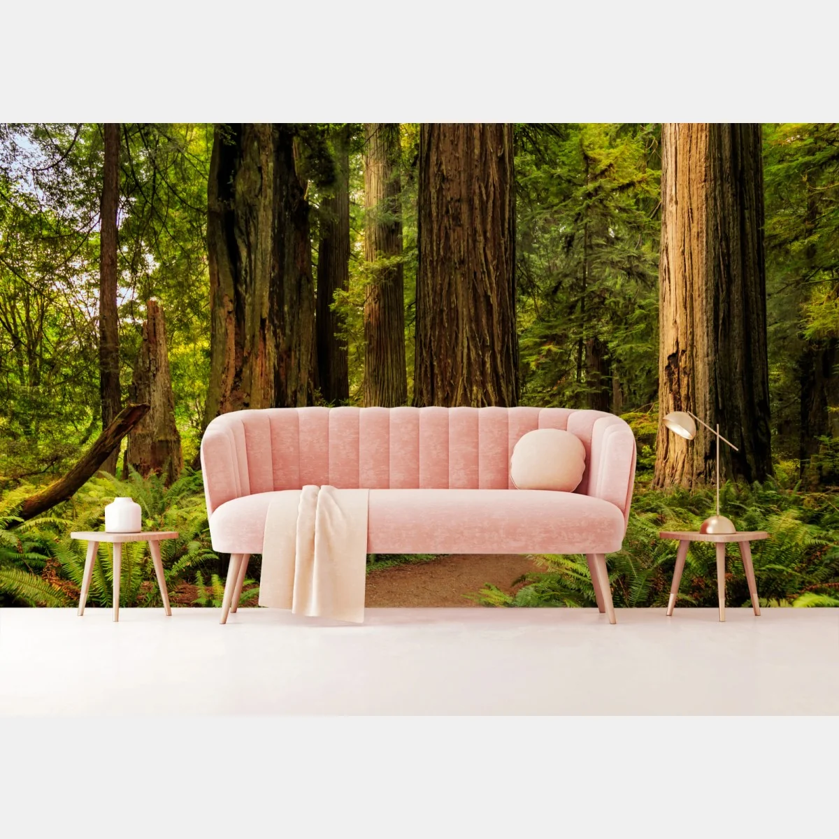 Fototapete Kalifornien mammutbäume waldweg – Wallnifity®