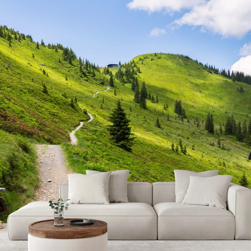 Fototapete sonniger bergpfad durch grüne wiese – Wallnifity® Fototapete sonniger bergpfad durch grüne wiese – Wallnifity®