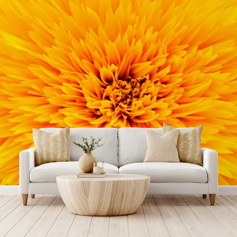 Fototapete strahlende sonnenblume nahaufnahme – Wallnifity® Fototapete strahlende sonnenblume nahaufnahme – Wallnifity®