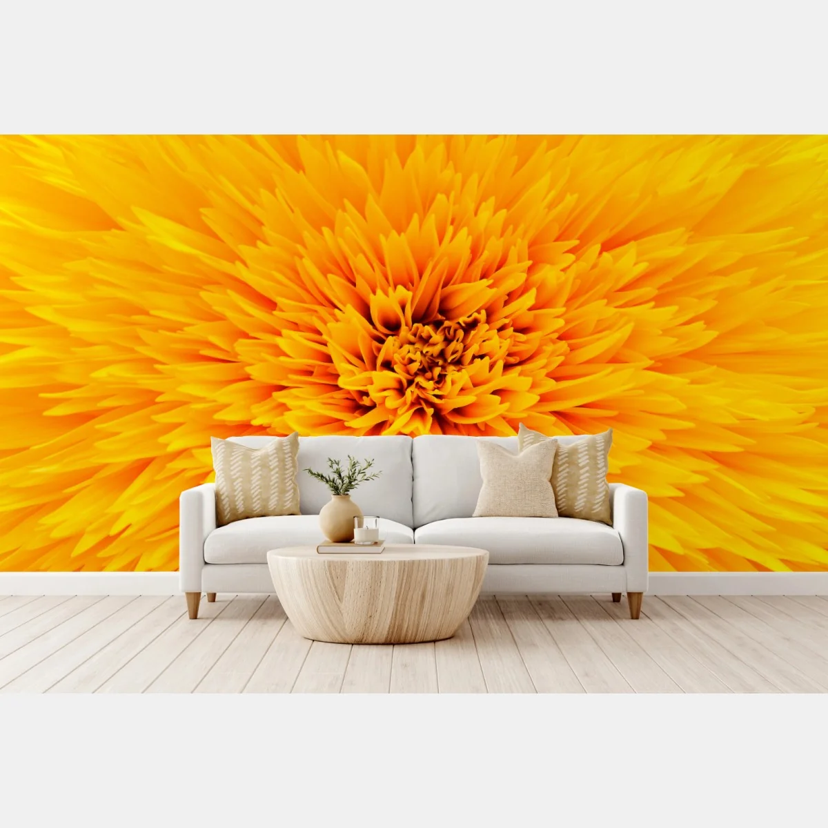 Fototapete strahlende sonnenblume nahaufnahme – Wallnifity® Fototapete strahlende sonnenblume nahaufnahme – Wallnifity®