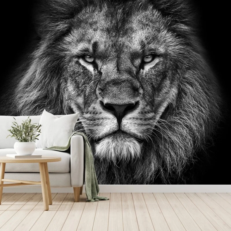 Fototapete majestätisches löwenportrait in monochrom