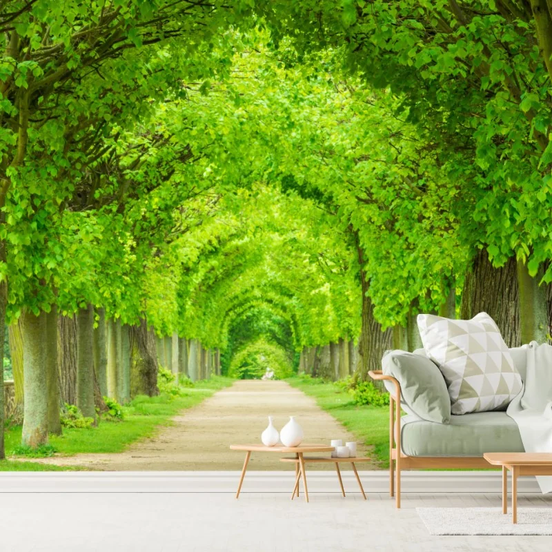 Fototapete grüner baumtunnel