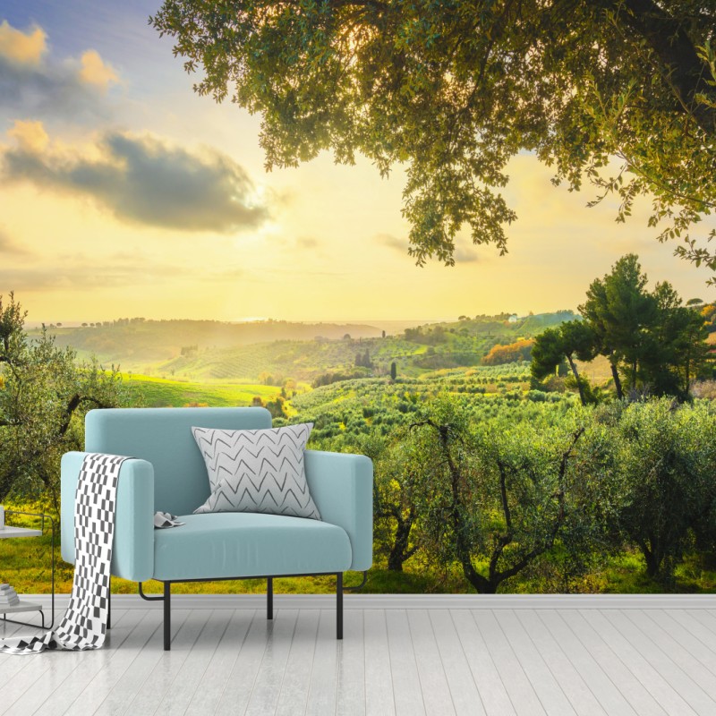 Fototapete olivenhain bei sonnenuntergang in Maremma, Toskana