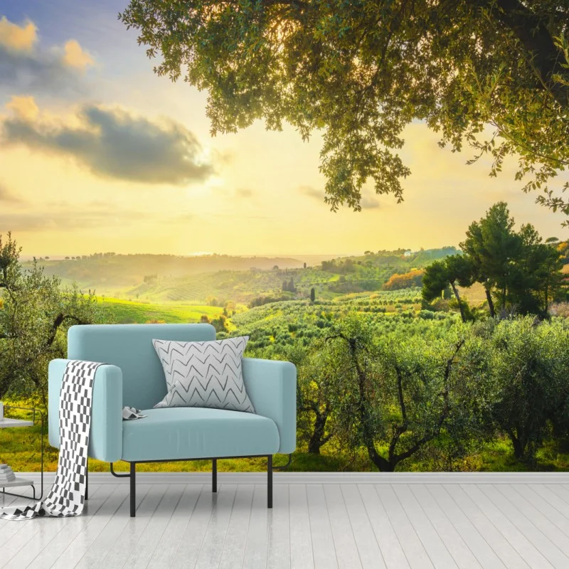 Fototapete olivenhain bei sonnenuntergang in Maremma, Toskana