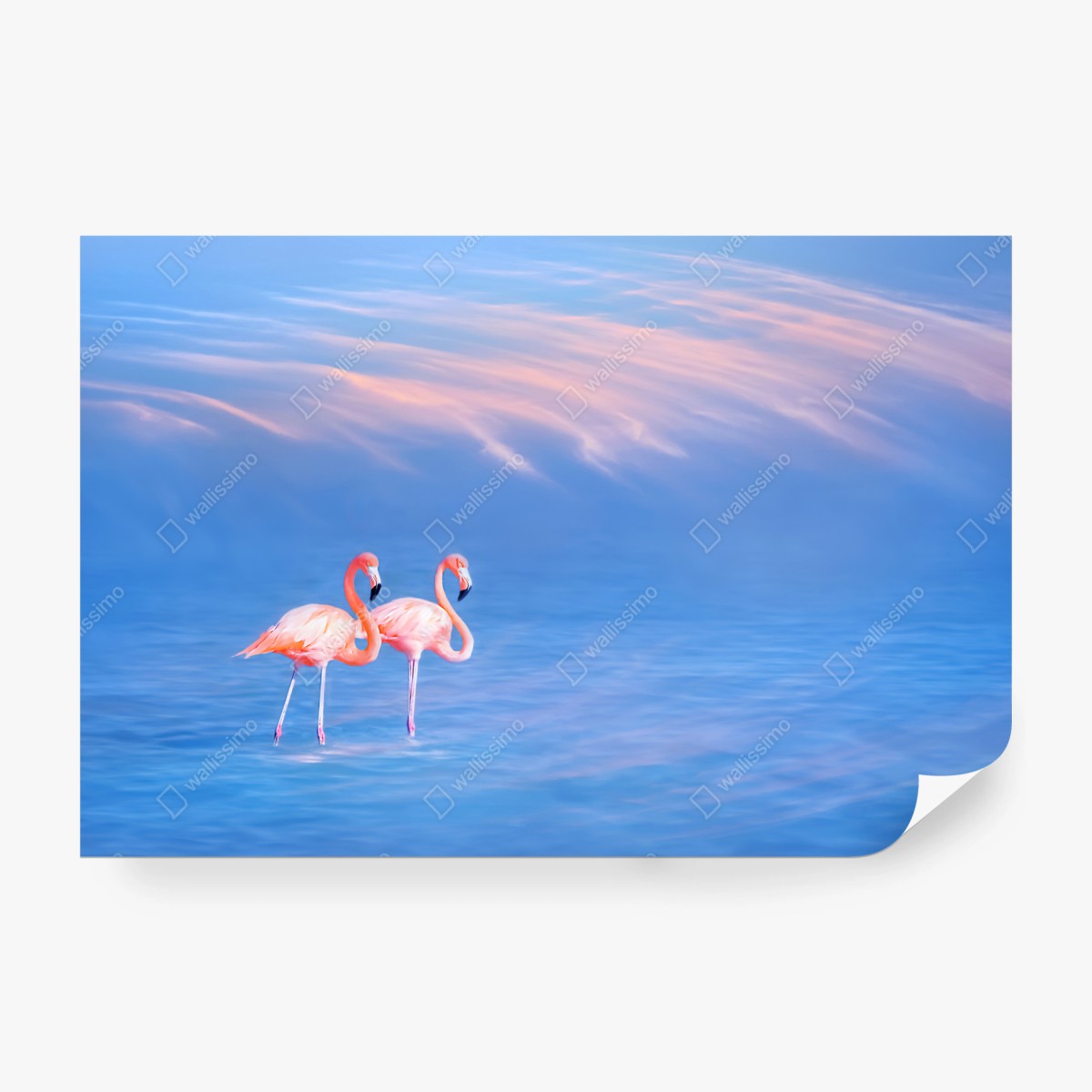 Fototapete rosa flamingos auf pastellfarbenem wasser – Wallnifity® Fototapete rosa flamingos auf pastellfarbenem wasser – Wallnifity®