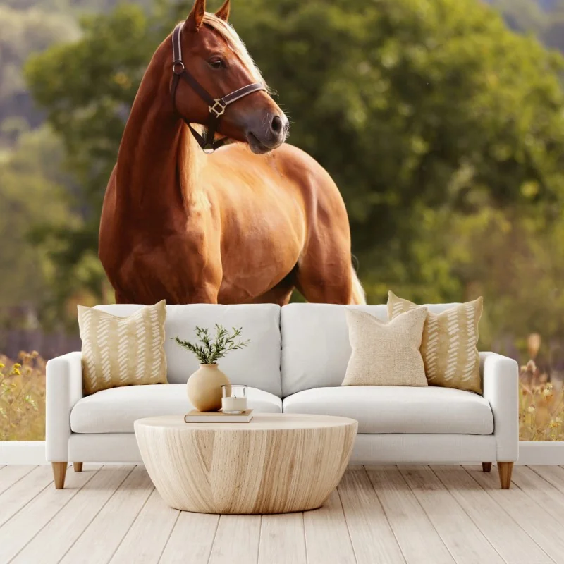 Fototapete majestätisches kastanienbraunes pferd auf sommerlicher wiese