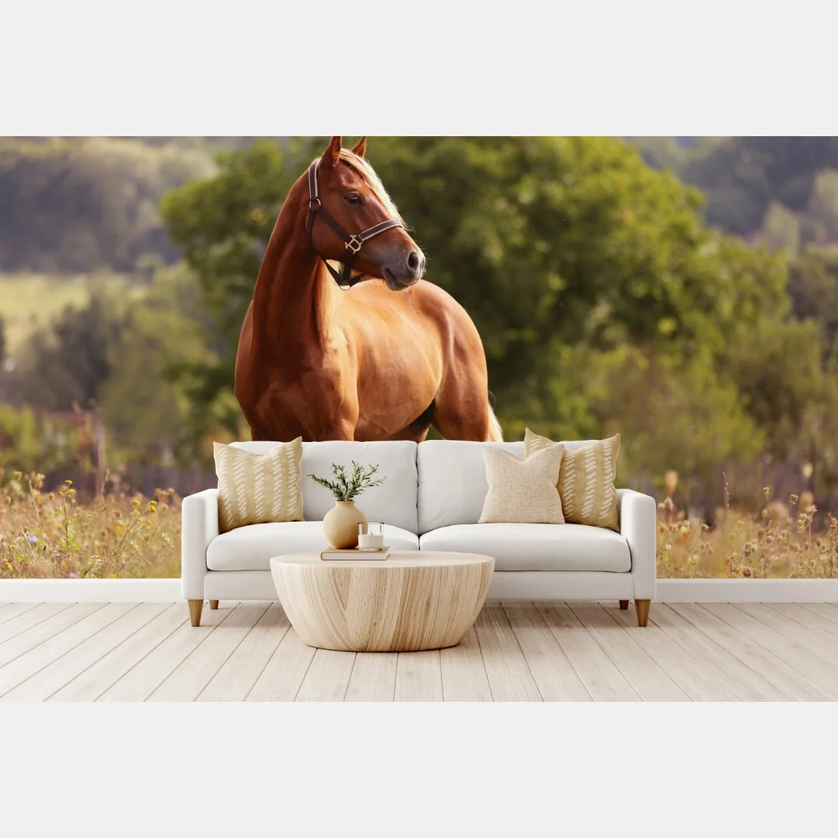 Fototapete majestätisches kastanienbraunes pferd auf sommerlicher wiese – Wallnifity® Fototapete majestätisches kastanienbraunes pferd auf sommerlicher wiese – Wallnifity®